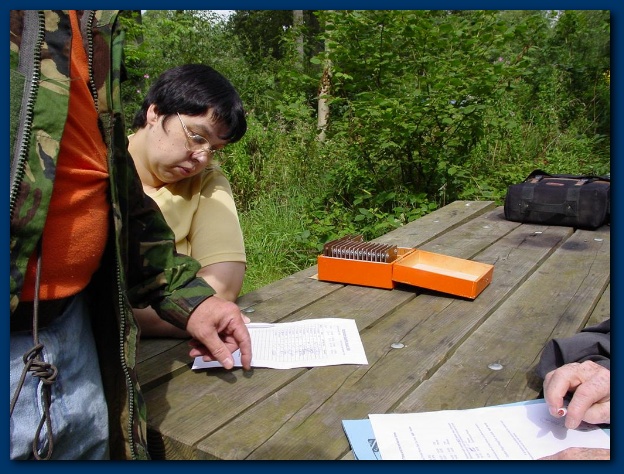 600x449 pixels (154K)